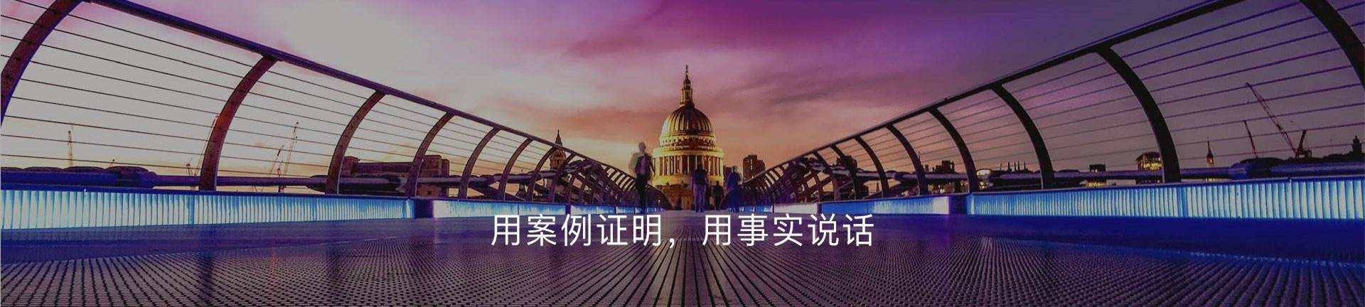  泡沫造塊化坨機(jī)系列